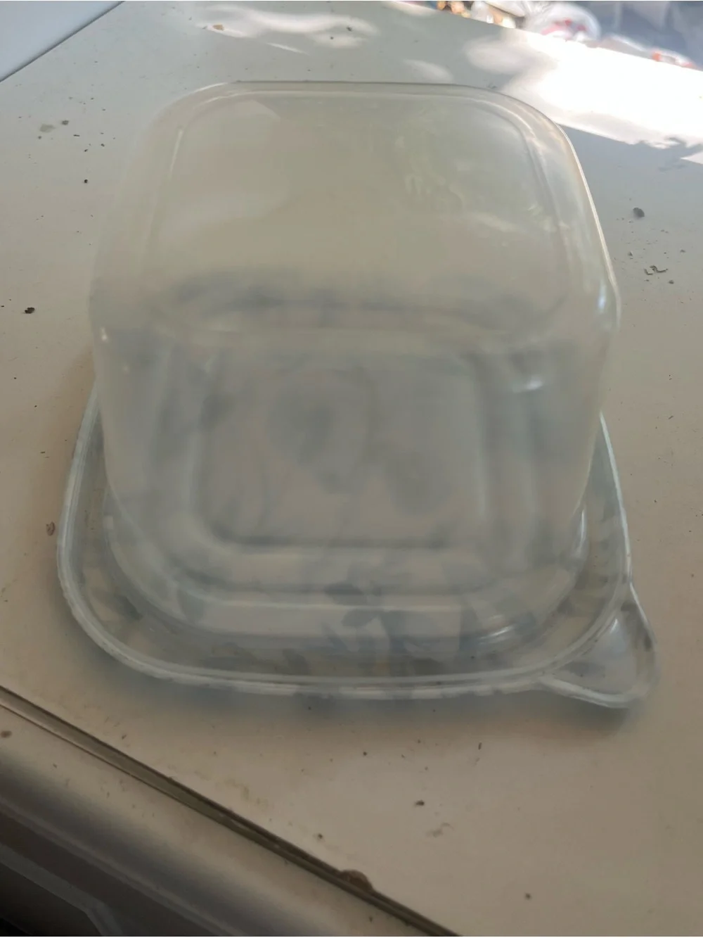 Blue Floral Glass Accent Dish - Home Accents